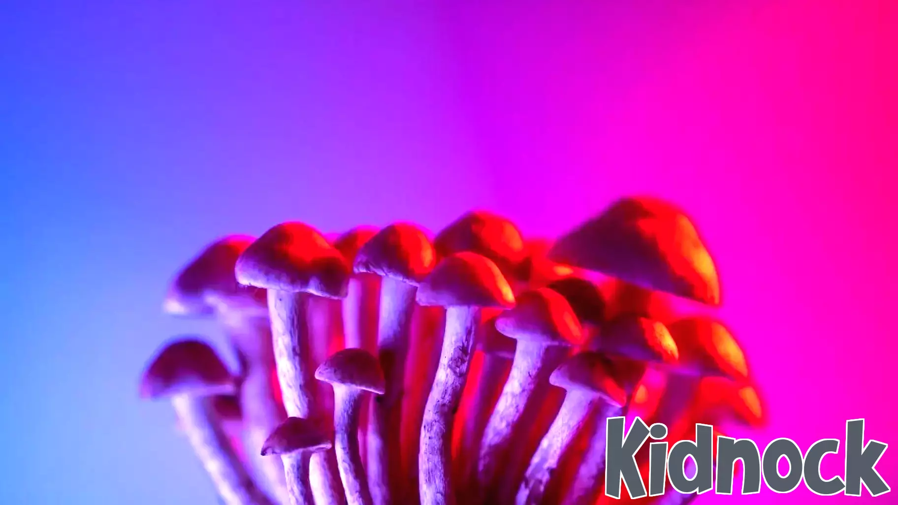 Can Magic Mushrooms Alleviate Parenting Stress?