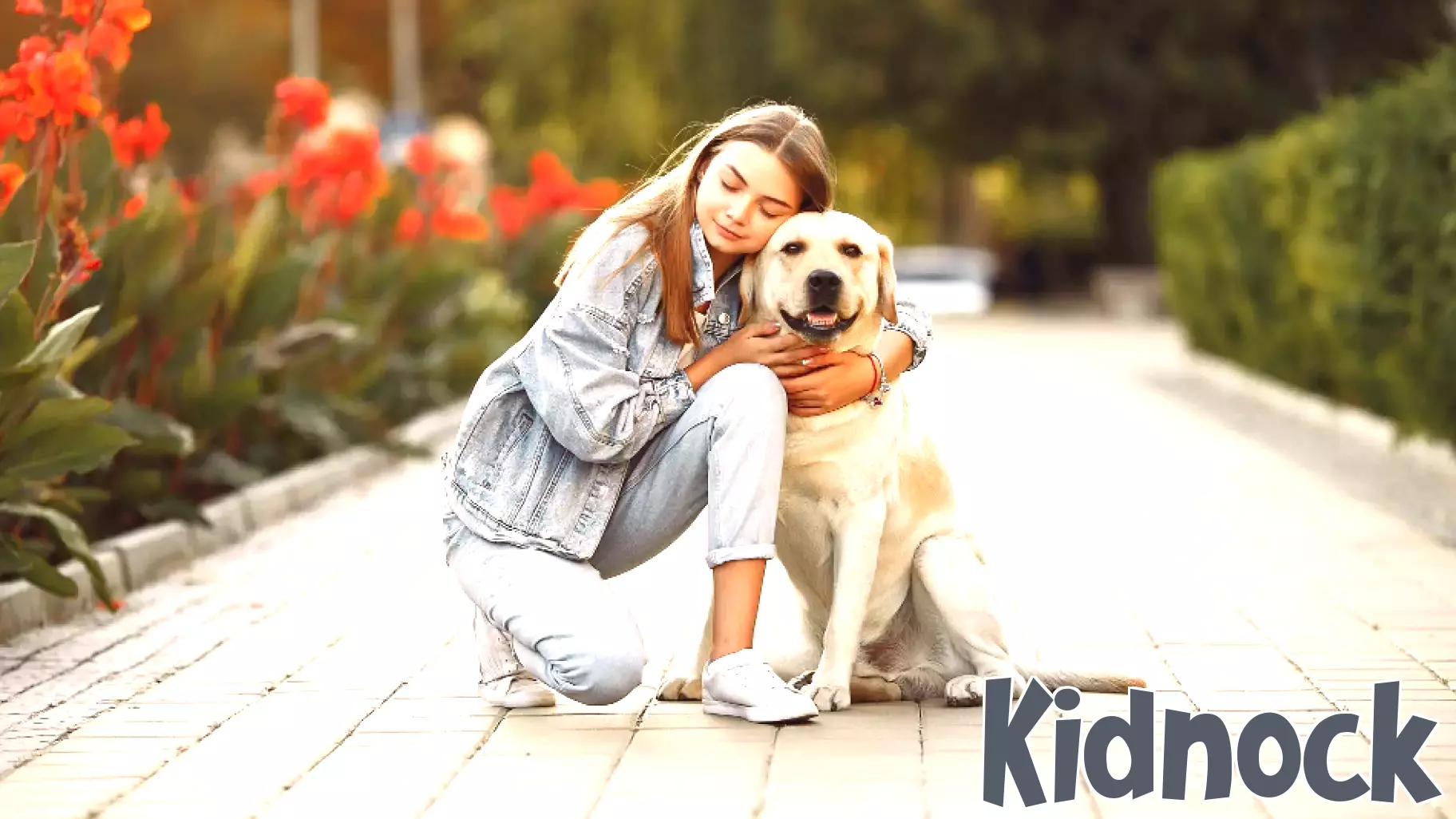 Do Dogs Provide Emotional Connections Similar to Parenthood?