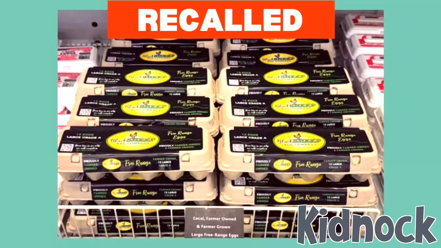 Major Egg Recall: Black Sheep Egg Company Issues Safety Alert
