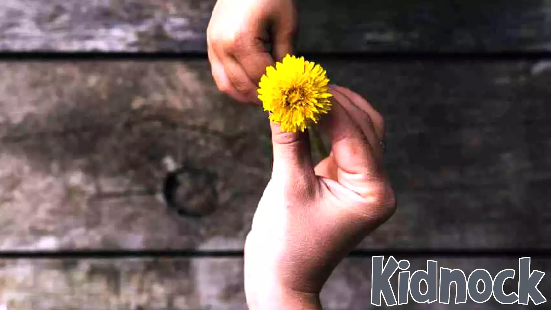 The Power of Affectionate Parenting in Fostering Kindness