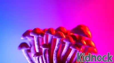 Can Magic Mushrooms Alleviate Parenting Stress?