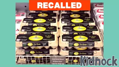 Major Egg Recall: Black Sheep Egg Company Issues Safety Alert