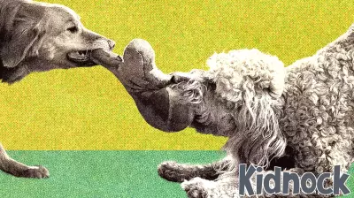 The Blurred Lines Between Childhood and Adulthood