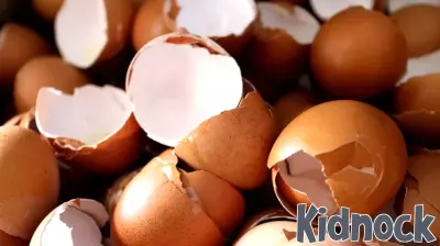 The Effects of Growing Up with 'Eggshell Parenting'