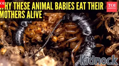 The Harsh Reality of Animal Parenting: Offspring as a Last Resort