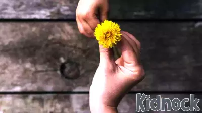The Power of Affectionate Parenting in Fostering Kindness