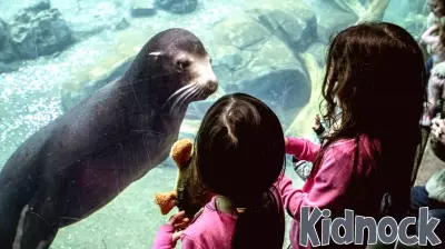 Yelp's most-saved kids' activity in every state—and what it says about how we're parenting right now